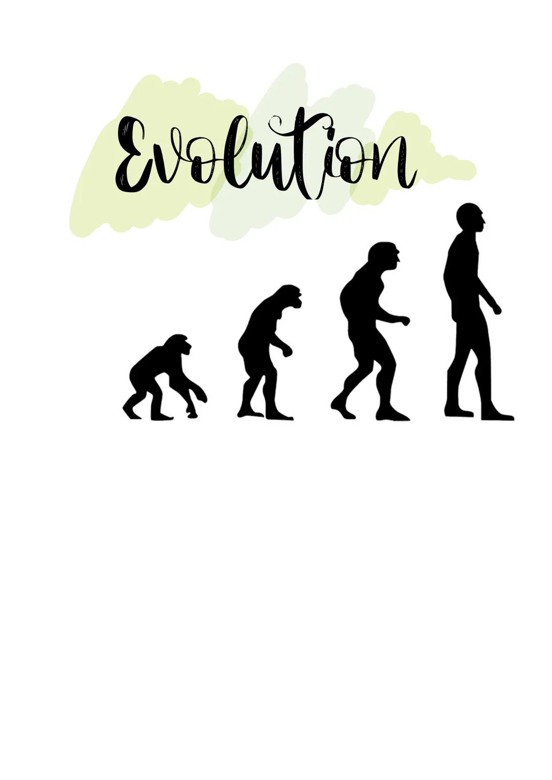 Evolution
$ Evolution
Beschäftigung mit allen Prozessen der Entstehung, Umwandlung und
Weiterentwicklung des Lebens auf der Erde, durch die 