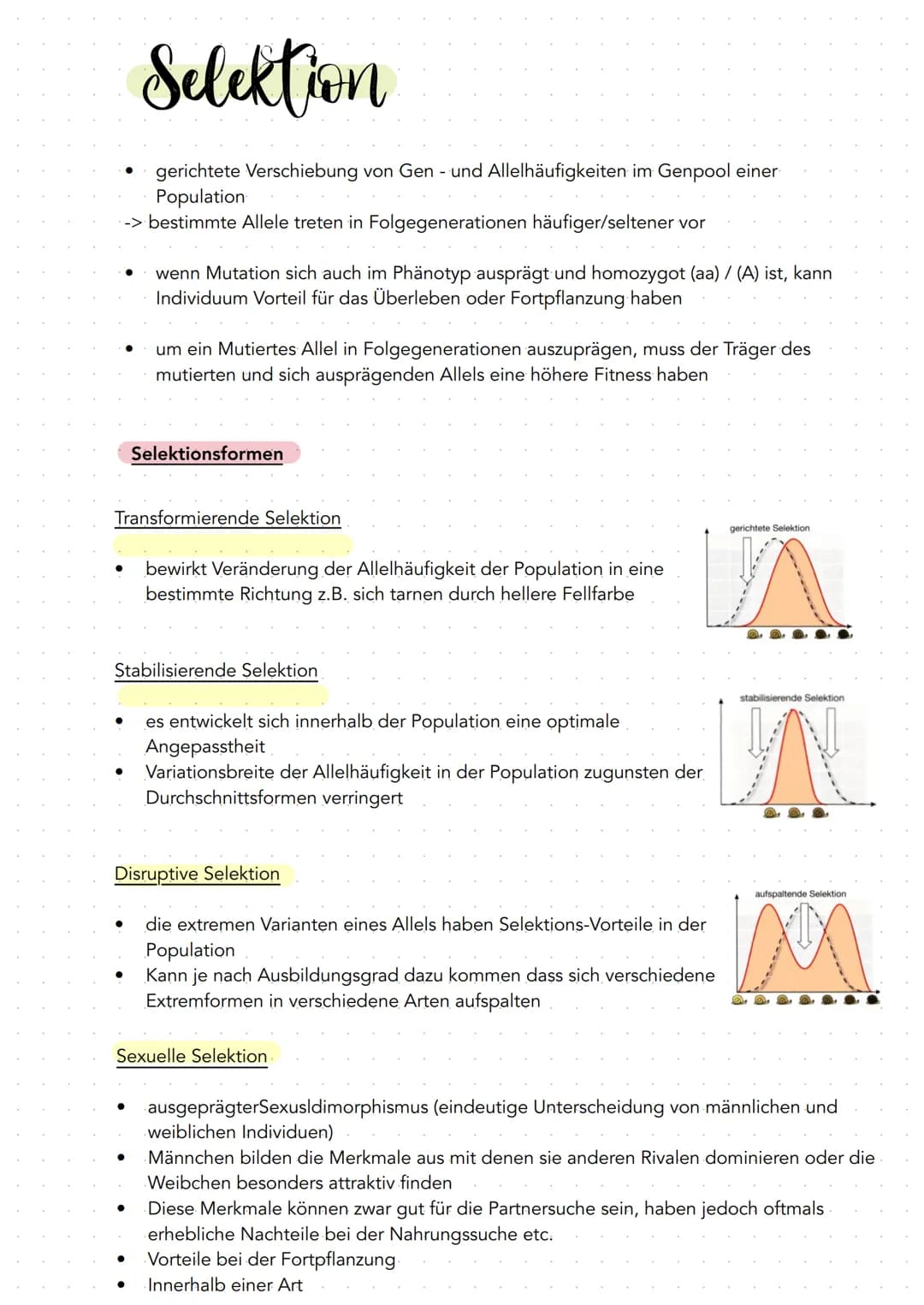 Evolution
$ Evolution
Beschäftigung mit allen Prozessen der Entstehung, Umwandlung und
Weiterentwicklung des Lebens auf der Erde, durch die 