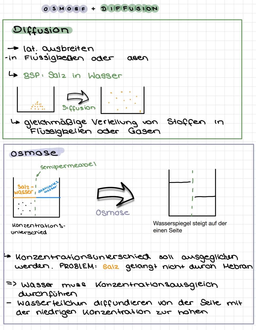 8
3.
Biomembran
TERES
reee
૧
AUFBAU
7
38345514
1 Tunnelprotein → Stofftransport
2 integrales Protein
3 angelagertes Protein
4 eingelagertes 