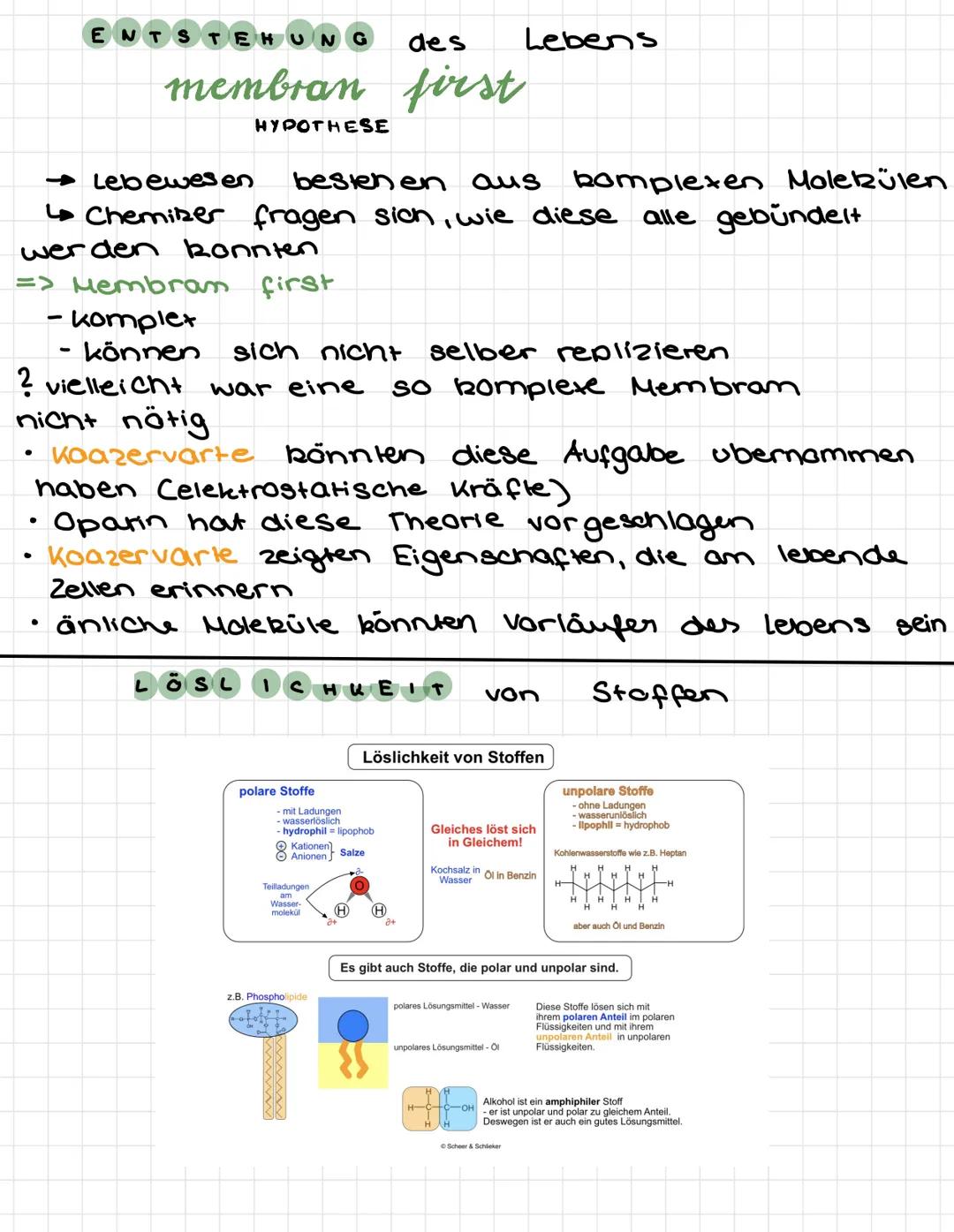 8
3.
Biomembran
TERES
reee
૧
AUFBAU
7
38345514
1 Tunnelprotein → Stofftransport
2 integrales Protein
3 angelagertes Protein
4 eingelagertes 