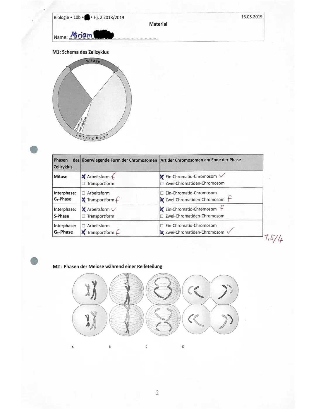 Biologie 10b
Name: Miriam
Hj. 2 2018/2019
Klassenarbeit: Genetik
1 Zellteilung und Zellzyklus
Lebewesen wachsen, indem sich ihre Zellen verm