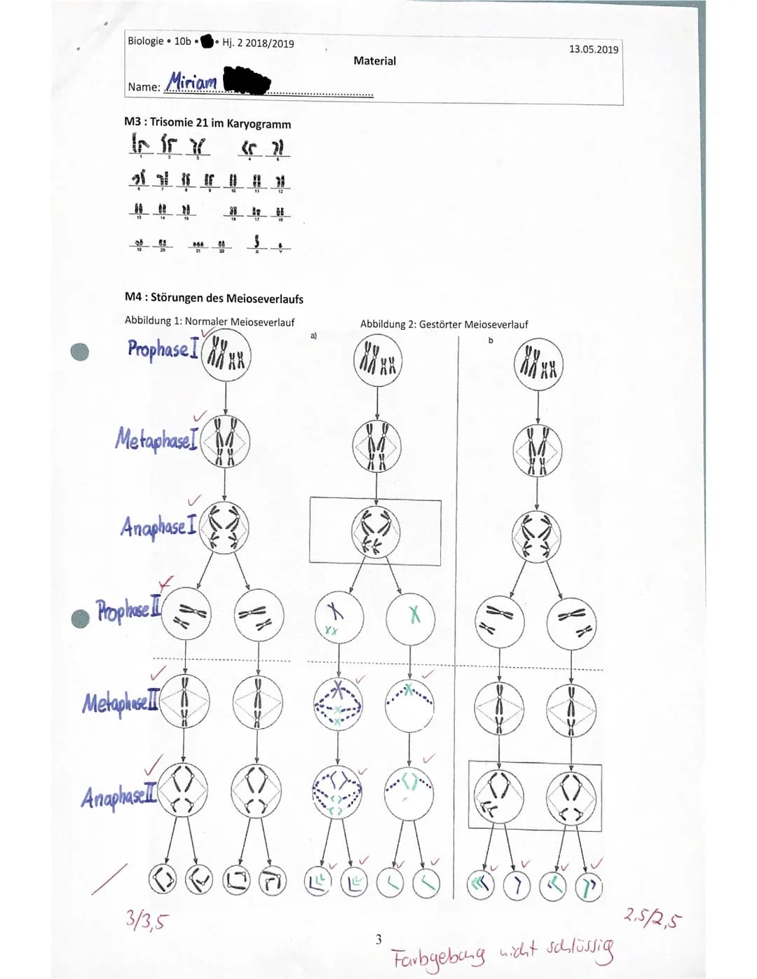 Biologie 10b
Name: Miriam
Hj. 2 2018/2019
Klassenarbeit: Genetik
1 Zellteilung und Zellzyklus
Lebewesen wachsen, indem sich ihre Zellen verm