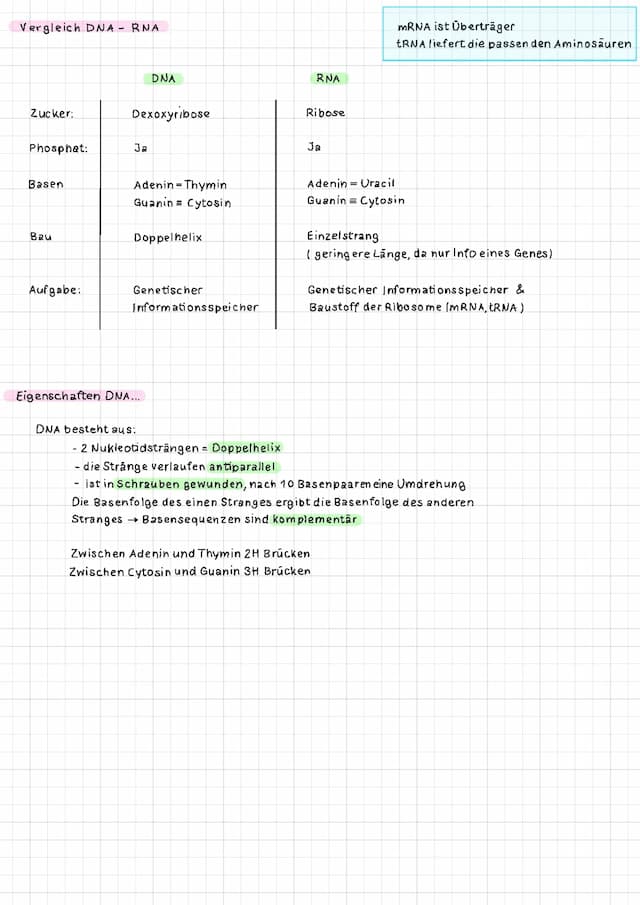 Know DNA /RNA thumbnail