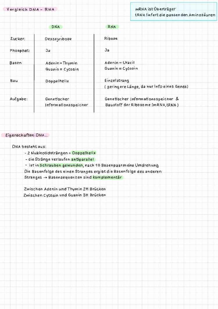 Know DNA /RNA thumbnail