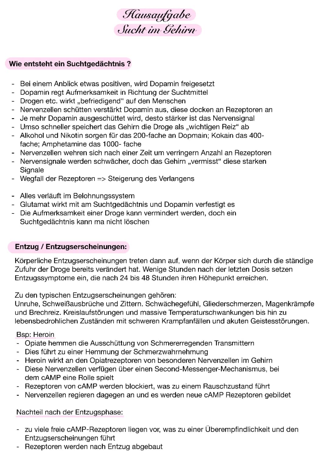 Sucht im Gehirn 