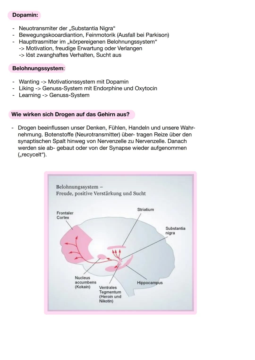 Wie entsteht ein Suchtgedächtnis ?
Bei einem Anblick etwas positiven, wird Dopamin freigesetzt
Dopamin regt Aufmerksamkeit in Richtung der S