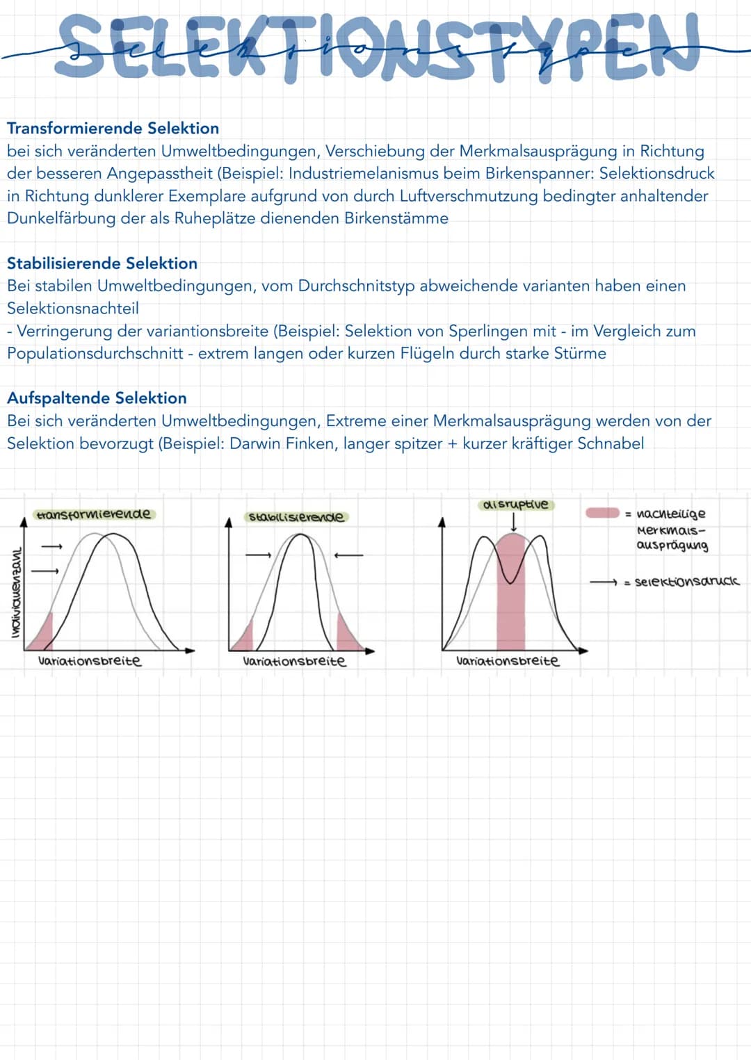 عنه مسمنة
EVOLUTIONSTHEORIEN: LAMARCK
Evolutionstheorie von einem kontinuierlichen Artenwandel: geht von Veränderlichkeit der Arten aus
Erst