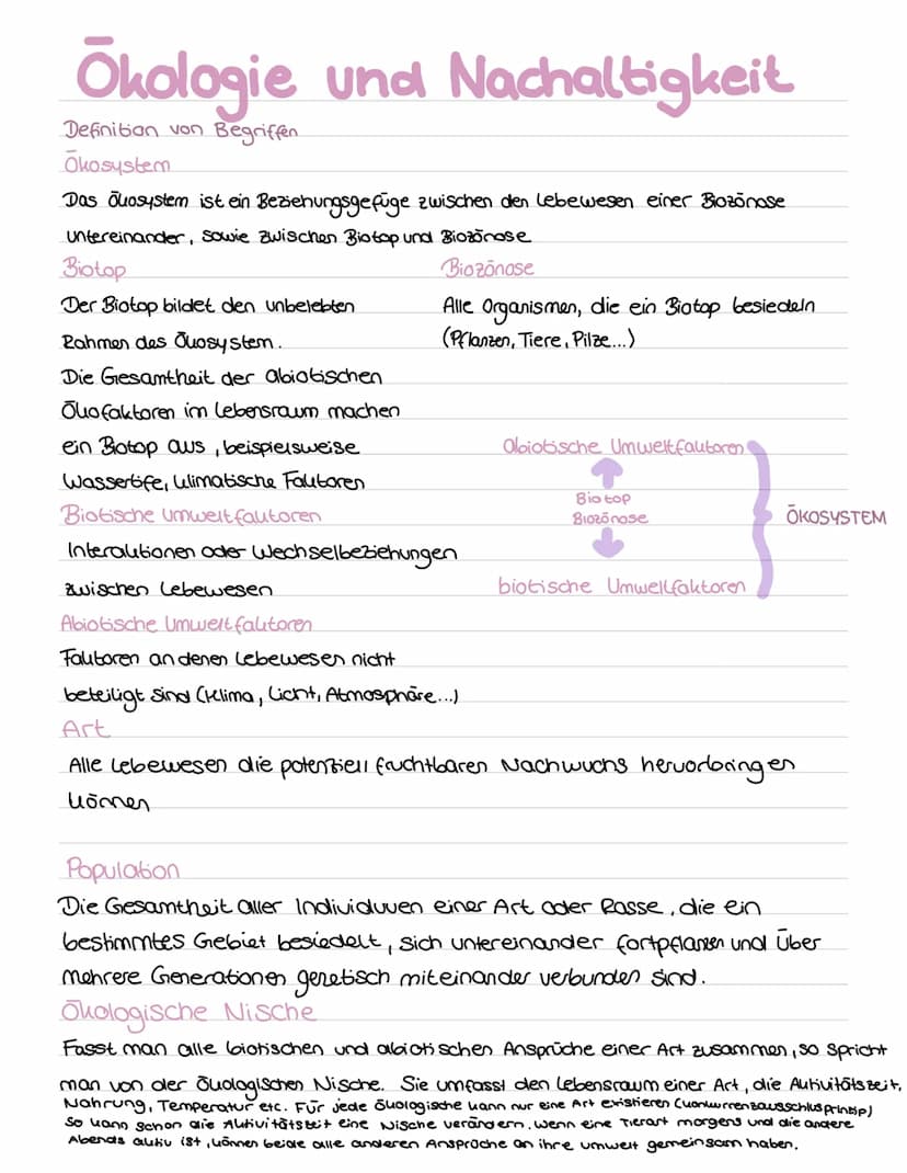 Bio
ABI Ökologie und Nachaltigkeit
Definition von Begriffen
Okosystem
Das Juosystem ist ein Beziehungsgefüge zwischen den lebewesen einer Bi