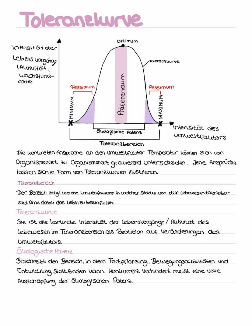 Bio
ABI Ökologie und Nachaltigkeit
Definition von Begriffen
Okosystem
Das Juosystem ist ein Beziehungsgefüge zwischen den lebewesen einer Bi