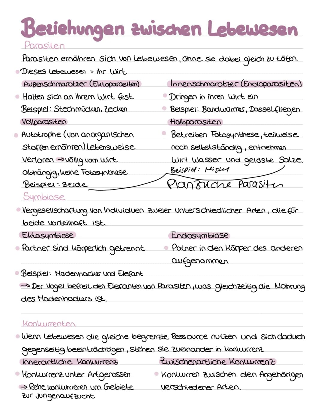Bio
ABI Ökologie und Nachaltigkeit
Definition von Begriffen
Okosystem
Das Juosystem ist ein Beziehungsgefüge zwischen den lebewesen einer Bi