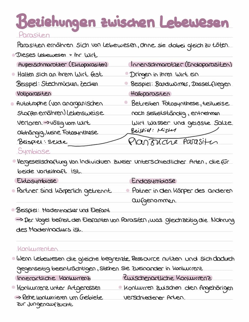 Bio
ABI Ökologie und Nachaltigkeit
Definition von Begriffen
Okosystem
Das Juosystem ist ein Beziehungsgefüge zwischen den lebewesen einer Bi