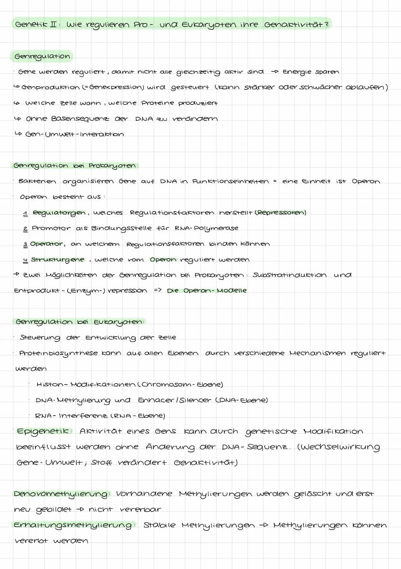 Genetik I: 4. LF: Welche Konsequenzen ergeben sich aus der veränderung der
Erbinformation?
Mutation:
•Anderung der genetischen Information i