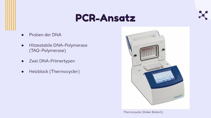 PCR und
Gelelektrophorese
DIXX
Präsentation von Emma und Lisa 01 PCR
Allgemein
Erfinder
Ablauf
-
-
-
Inhalt
Anwendungsbereiche
Beispiel
02 G