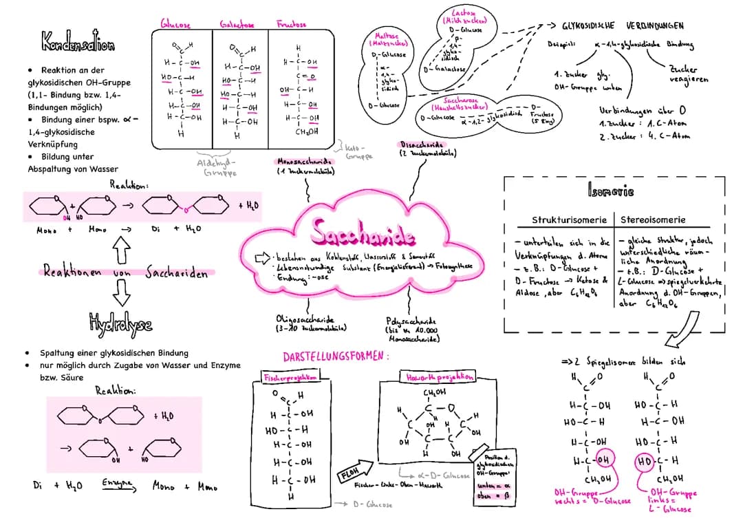 Saccharide/Kohlenhydrate Chemie Überblick