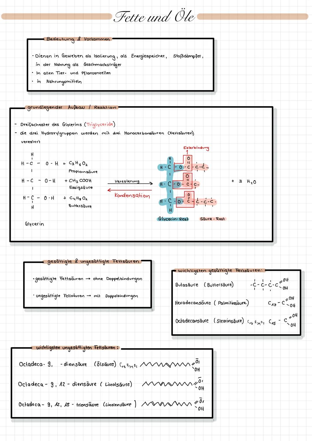 Fette und Öle

Bedeutung & Vorkommen
- Dienen in Geweben als Isolierung, als Energiespeicher, Stoßdämpfer,
in der Nahrung als Geschmacksträg