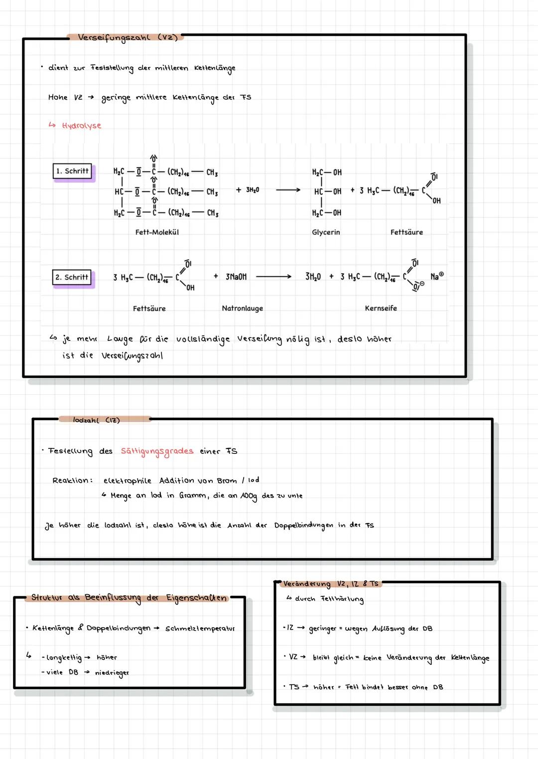 Fette und Öle

Bedeutung & Vorkommen
- Dienen in Geweben als Isolierung, als Energiespeicher, Stoßdämpfer,
in der Nahrung als Geschmacksträg
