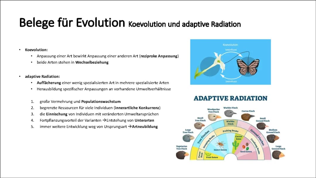 Belege für Evolution