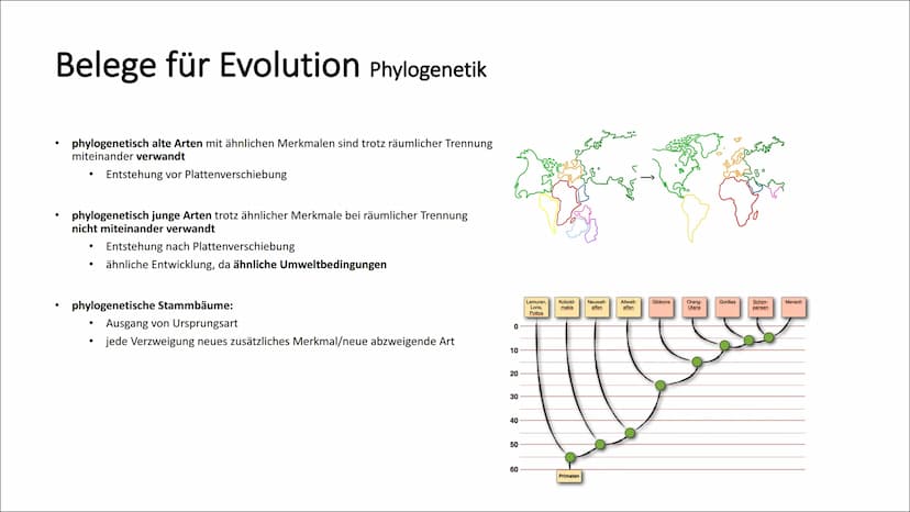 Belege für Evolution Koevolution und adaptive Radiation
Koevolution:
Anpassung einer Art bewirkt Anpassung einer anderen Art (reziproke Anpa