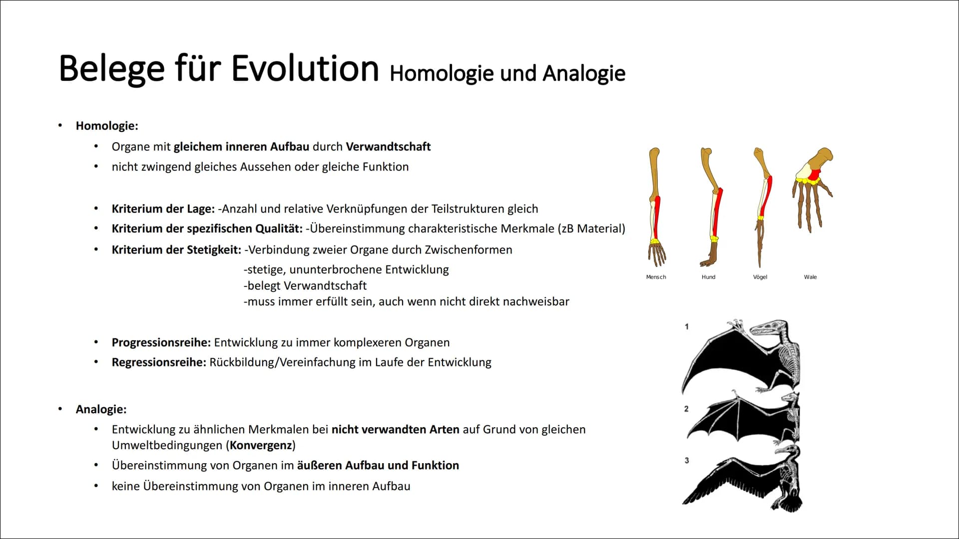 Belege für Evolution Koevolution und adaptive Radiation
Koevolution:
Anpassung einer Art bewirkt Anpassung einer anderen Art (reziproke Anpa