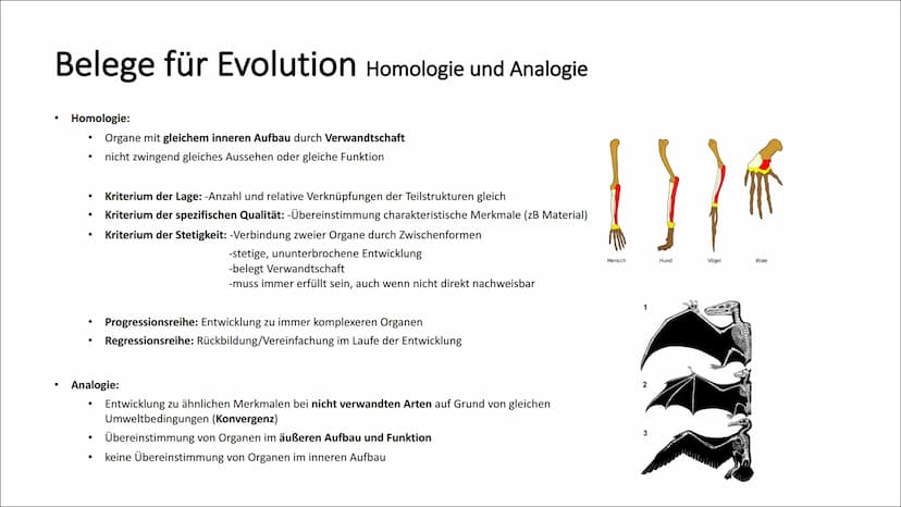 Belege für Evolution Koevolution und adaptive Radiation
Koevolution:
Anpassung einer Art bewirkt Anpassung einer anderen Art (reziproke Anpa