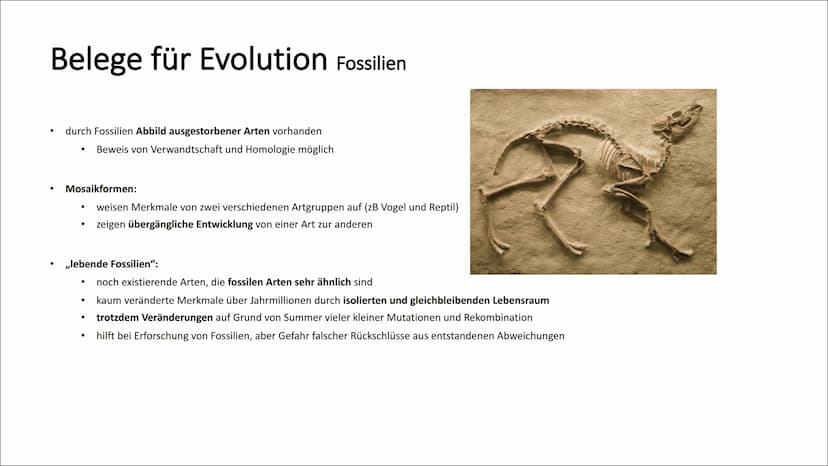 Belege für Evolution Koevolution und adaptive Radiation
Koevolution:
Anpassung einer Art bewirkt Anpassung einer anderen Art (reziproke Anpa