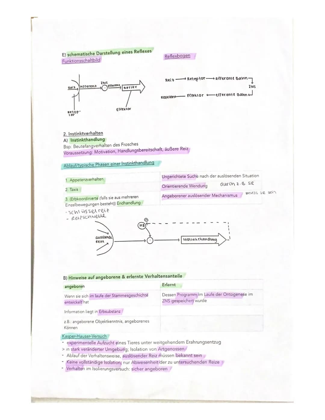 Molekulargenetik
Transformationswxperiment
Versuch von Griffith (1928)
1. Pneumokokkenstamm
Mit Schleimkapsel (virulent/pathogen), S-Stamm
2