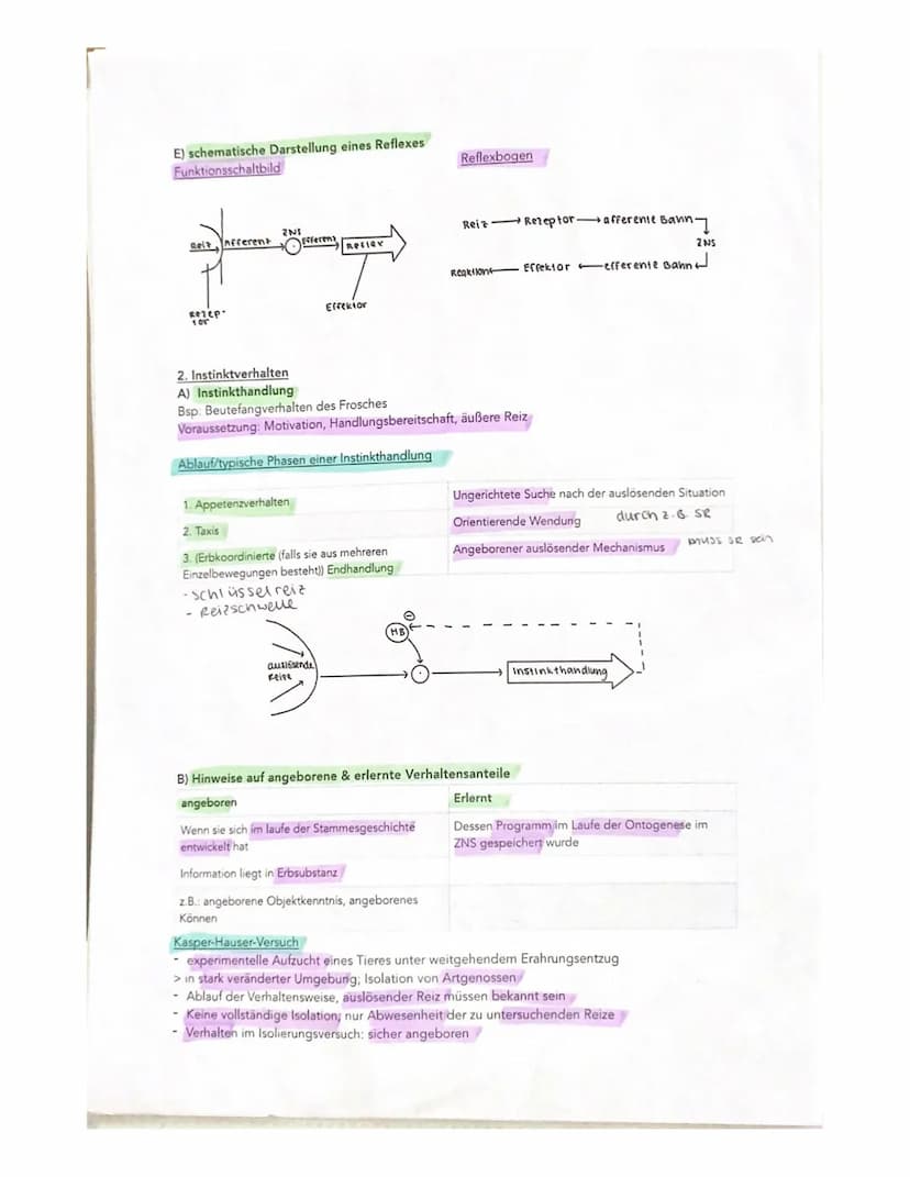 Molekulargenetik
Transformationswxperiment
Versuch von Griffith (1928)
1. Pneumokokkenstamm
Mit Schleimkapsel (virulent/pathogen), S-Stamm
2