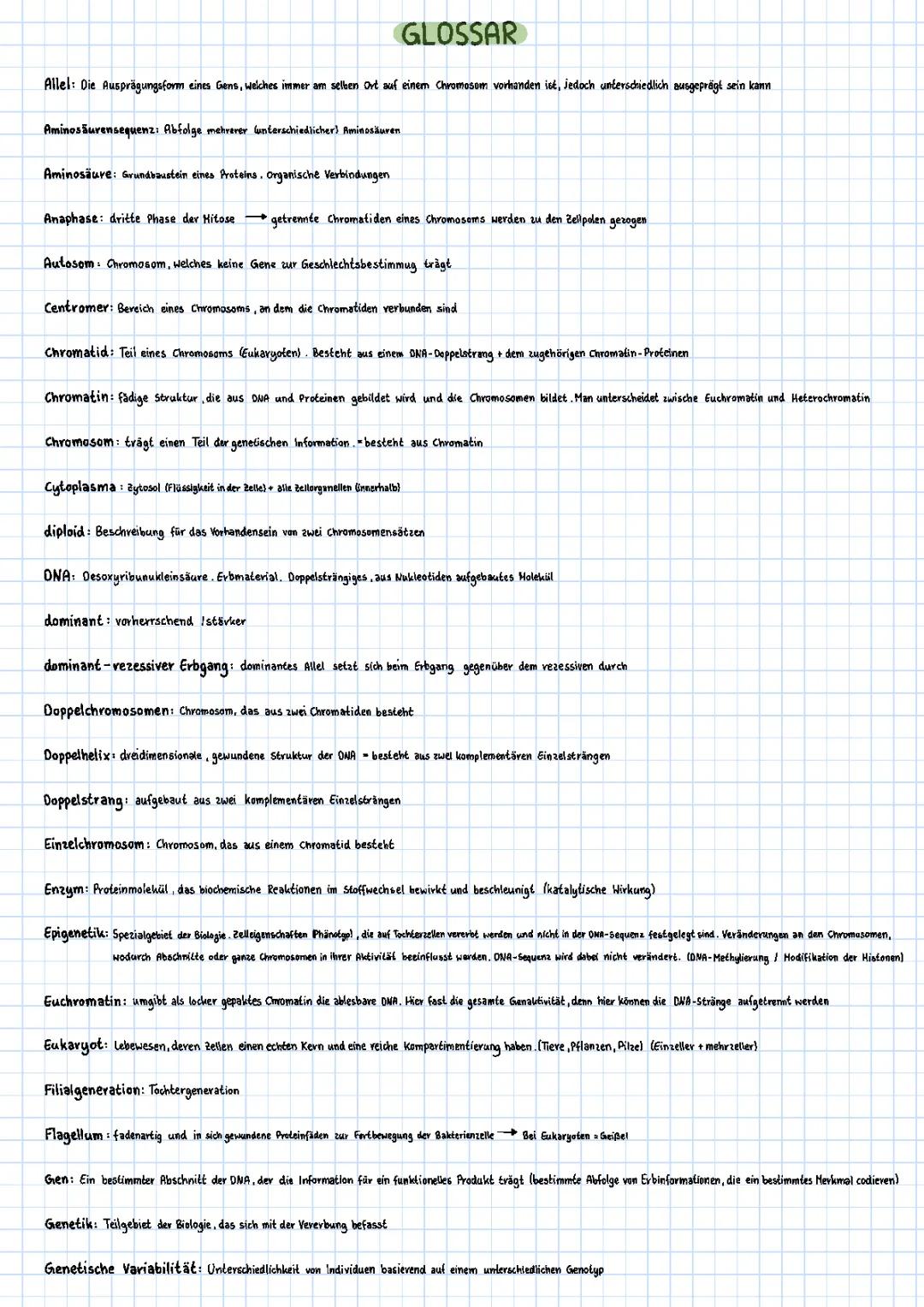 Genetik Grundbegriffe PDF - Glossar für Biologie Abitur