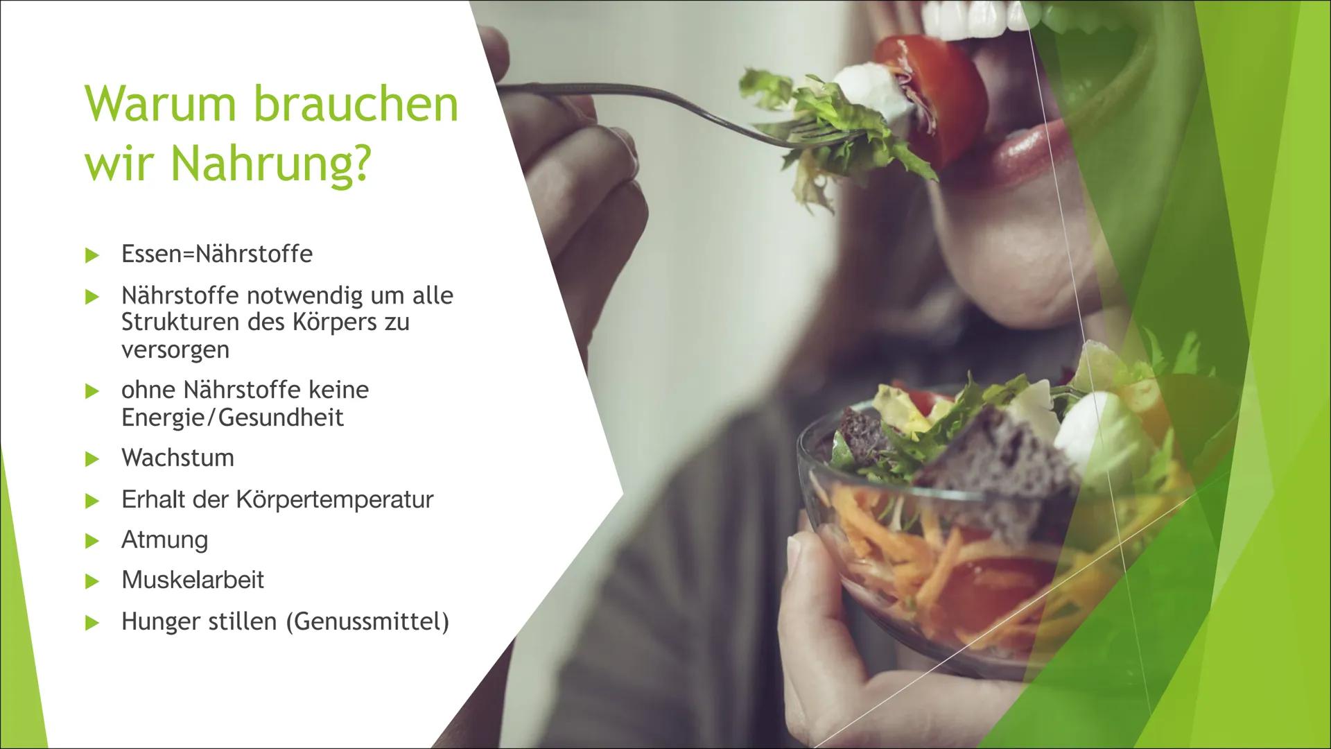 Grundlagen der
Ernährung
Co Inhaltsverzeichnis
Warum brauchen wir Nahrung?
Nährstoffe und Funktionen
Kohlenhydrate
Fette
Eiweiße
Vitamine un
