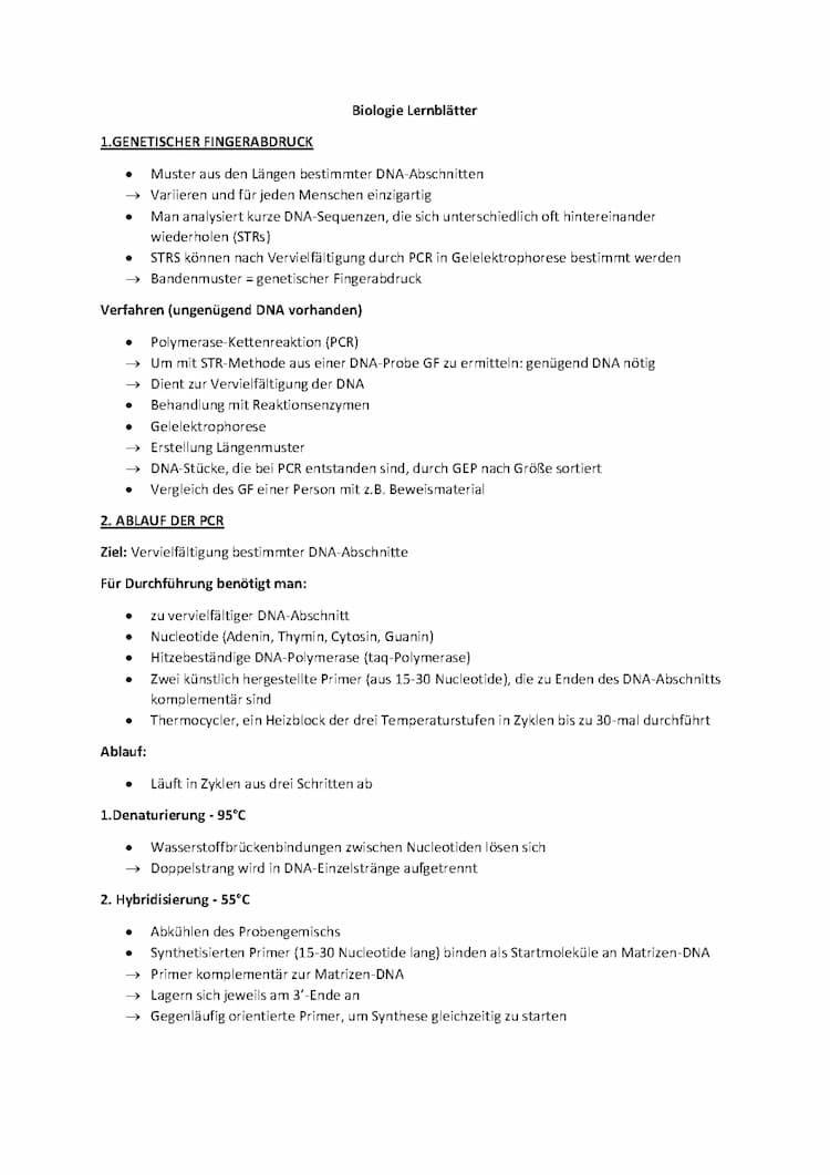 Know Biologie Lernzettel Q2: Genetischer Fingerabdruck & Ökologie thumbnail