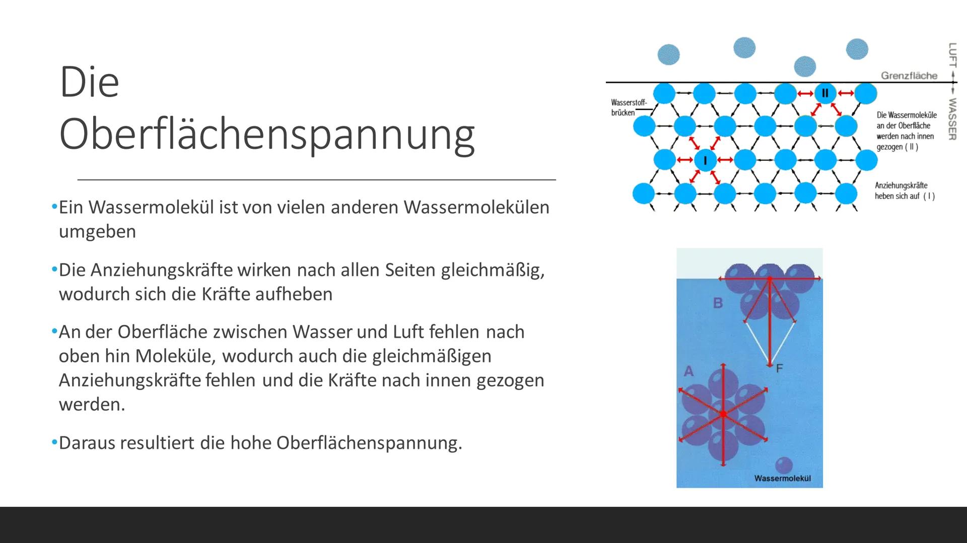 Präsentation von
Darlene Oelmann
Wasser
DAS WASSER UND SEINE
CHEMISCHE UND
BIOLOGISCHE BEDEUTUNG Inhalt der Präsentation
01
Allgemeine
Infor