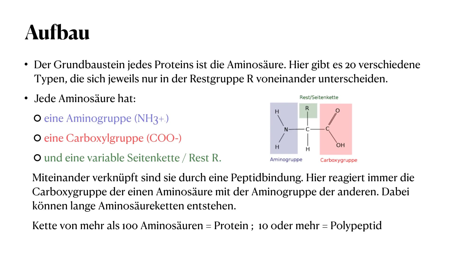PROTEINE
VON MELEK KAPLAN Proteinen
Wichtige Moleküle im Körper von Lebewesen
Proteine (Eiweiße) sind Makromoleküle. Man versteht darunter g
