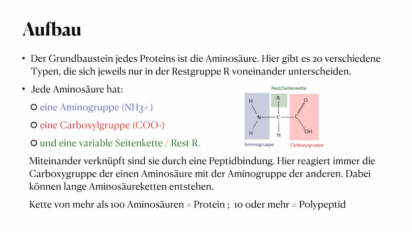PROTEINE
VON MELEK KAPLAN Proteinen
Wichtige Moleküle im Körper von Lebewesen
Proteine (Eiweiße) sind Makromoleküle. Man versteht darunter g