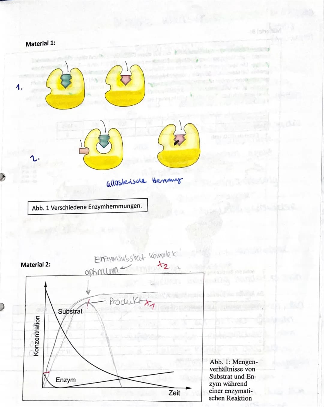 Datum: 24.09.20 Zeit: 135 min.
Fach/Kurs: Bl-Q1/1.Klausur
Sachgebiet "Physiologische Grundlagen ausgewählter Lebensprozesse"
Lassen Sie link