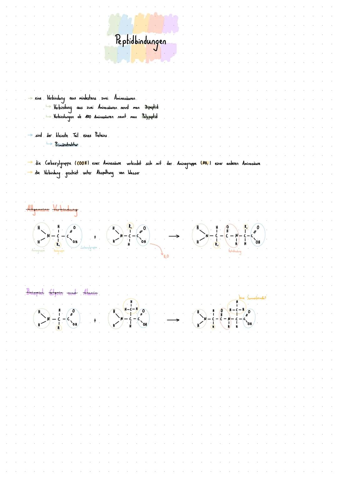 Peptidbindungen

eine Verbindung aus mindestens zwei Aminosäuren
Verbindung aus zwei Aminosäuren. nennt man Dipeptid
Verbindungen ab 100 Ami