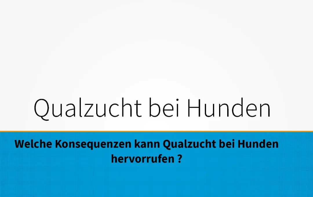 Qualzucht Hund Liste 2024: Welche Hunde sind keine Qualzuchten?