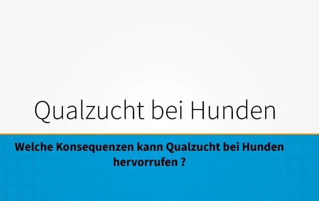 Know Qualzucht bei Hunden (Welche Konsequenzen kann Qualzucht hervorrufen)  thumbnail