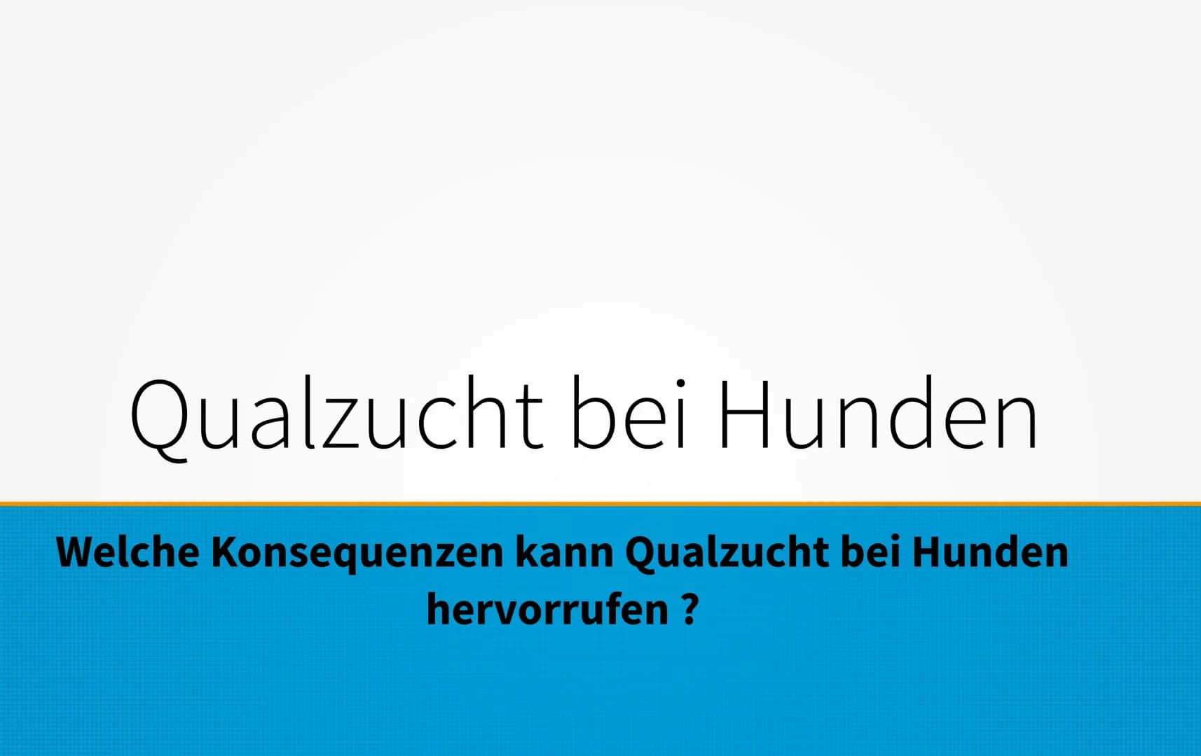 Qualzucht bei Hunden
Welche Konsequenzen kann Qualzucht bei Hunden
hervorrufen? ●
Einleitung
Definition
Häufigste Formen der Qualzucht
→ Qua