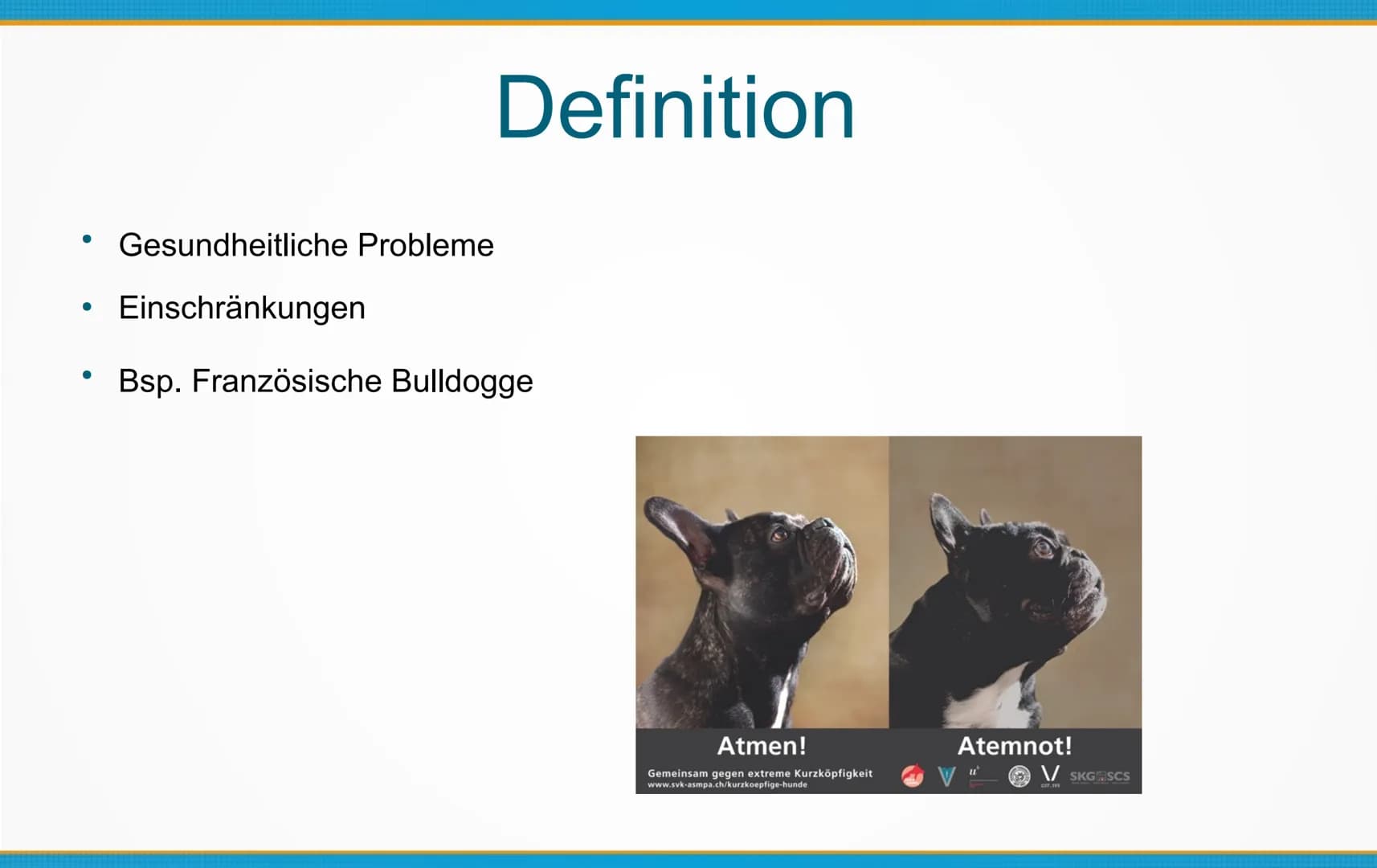 Qualzucht bei Hunden
Welche Konsequenzen kann Qualzucht bei Hunden
hervorrufen? ●
Einleitung
Definition
Häufigste Formen der Qualzucht
→ Qua