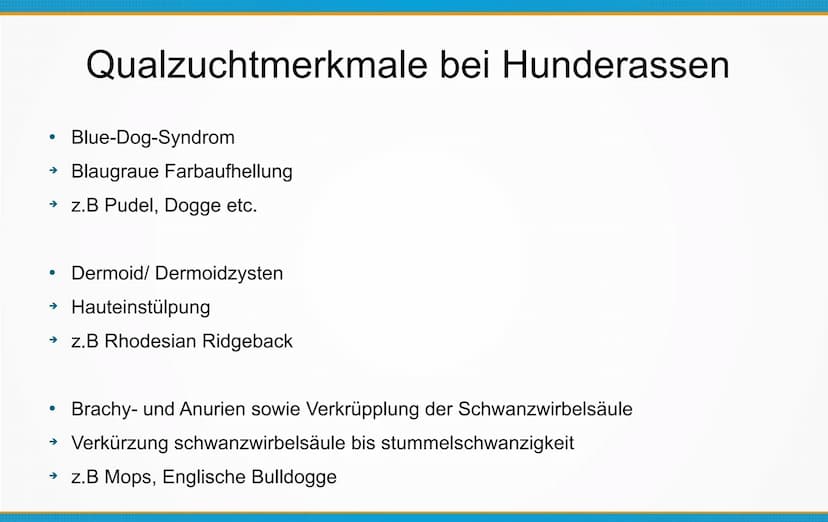 Qualzucht bei Hunden
Welche Konsequenzen kann Qualzucht bei Hunden
hervorrufen? ●
Einleitung
Definition
Häufigste Formen der Qualzucht
→ Qua