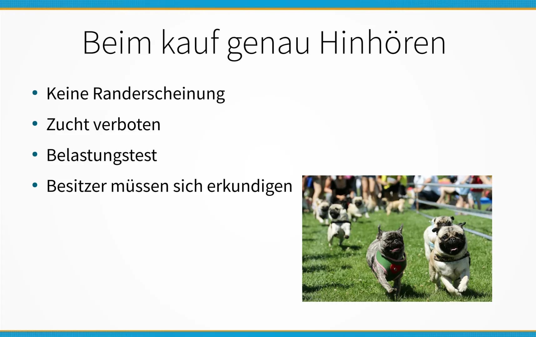 Qualzucht bei Hunden
Welche Konsequenzen kann Qualzucht bei Hunden
hervorrufen? ●
Einleitung
Definition
Häufigste Formen der Qualzucht
→ Qua