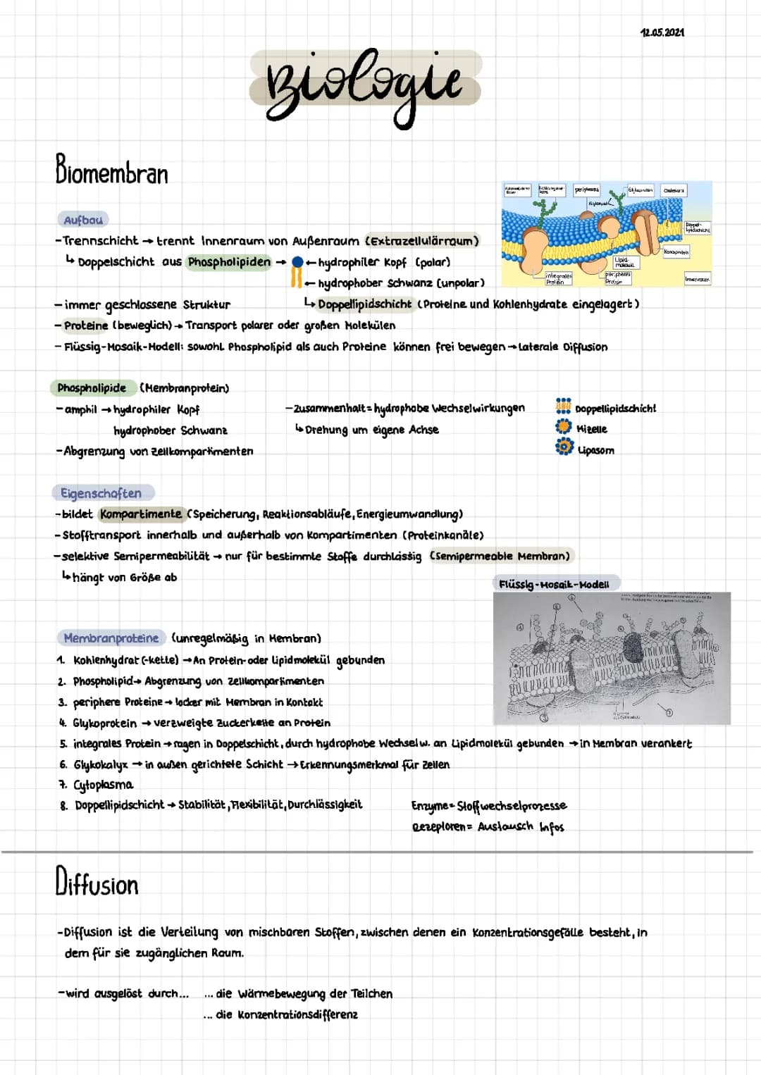 Biomembran, Diffusion, Osmose, Plasmolyse, Deplasmolyse 
