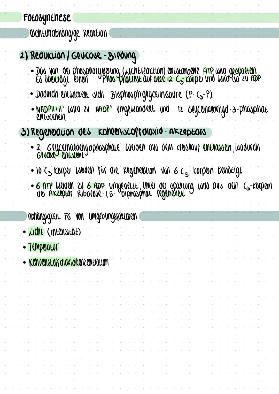 # Fotosynthese

uchtunabhängige Reaktion

Calvin Zyklus

6x CO2

Enzym
Rubisco

Carboxy-
lierung

C5

6x Ribulose-1,5-
bisphosphat

000-00-0