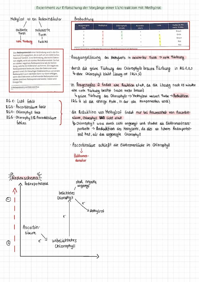 Know Energetisches Modell der Fotosynthese (ATP Bildung) thumbnail