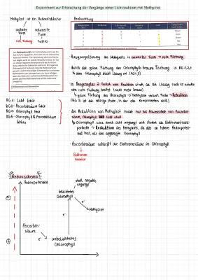 Know Energetisches Modell der Fotosynthese (ATP Bildung) thumbnail