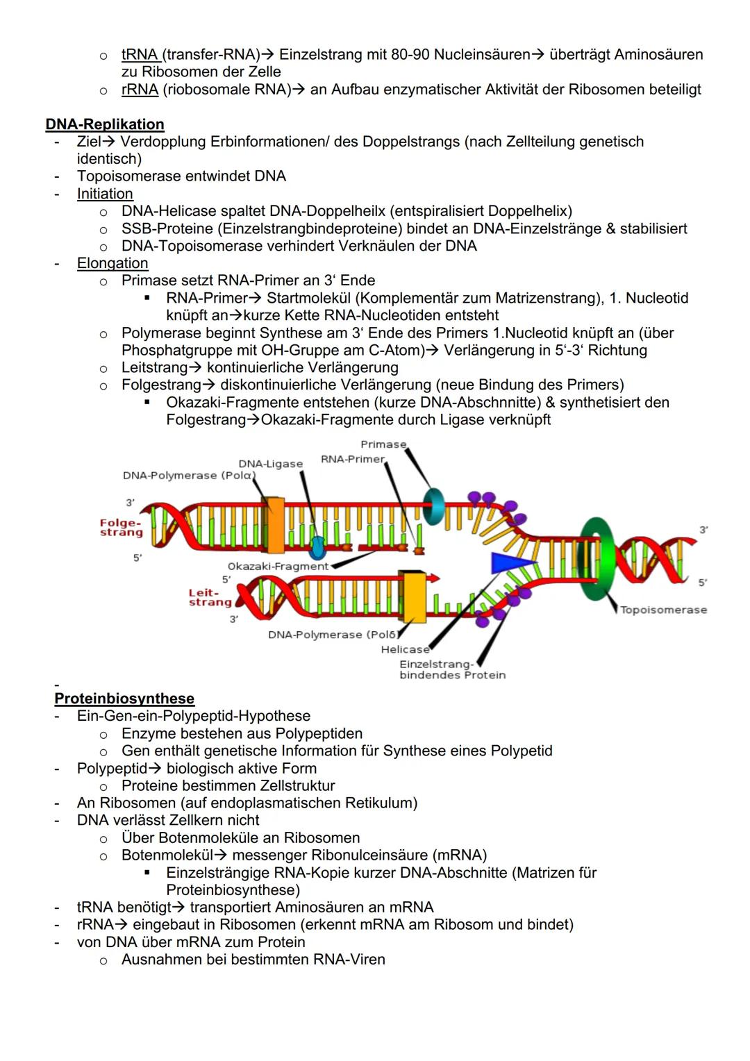 # Genetik

Cytogenetik (Teilgebeit mit Chromosomen & Vererbung auf zellulärer Ebene)

Chromosomen

- Im Zellkern des Menschen & tragen Gene 