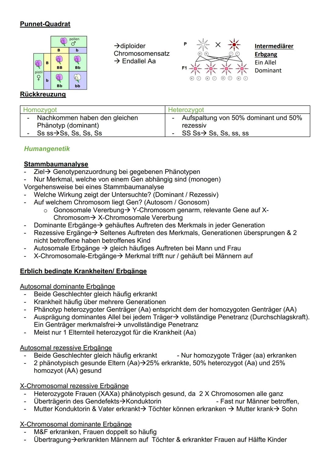 # Genetik

Cytogenetik (Teilgebeit mit Chromosomen & Vererbung auf zellulärer Ebene)

Chromosomen

- Im Zellkern des Menschen & tragen Gene 