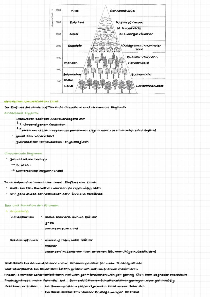 abiotische umweltfaktoren
Def.: Faktor der Umwelt (z. B. Licht, Temperatur). dem ein Lebewesen in seiner Umwelt ausgesetet ist.
Physiologisc