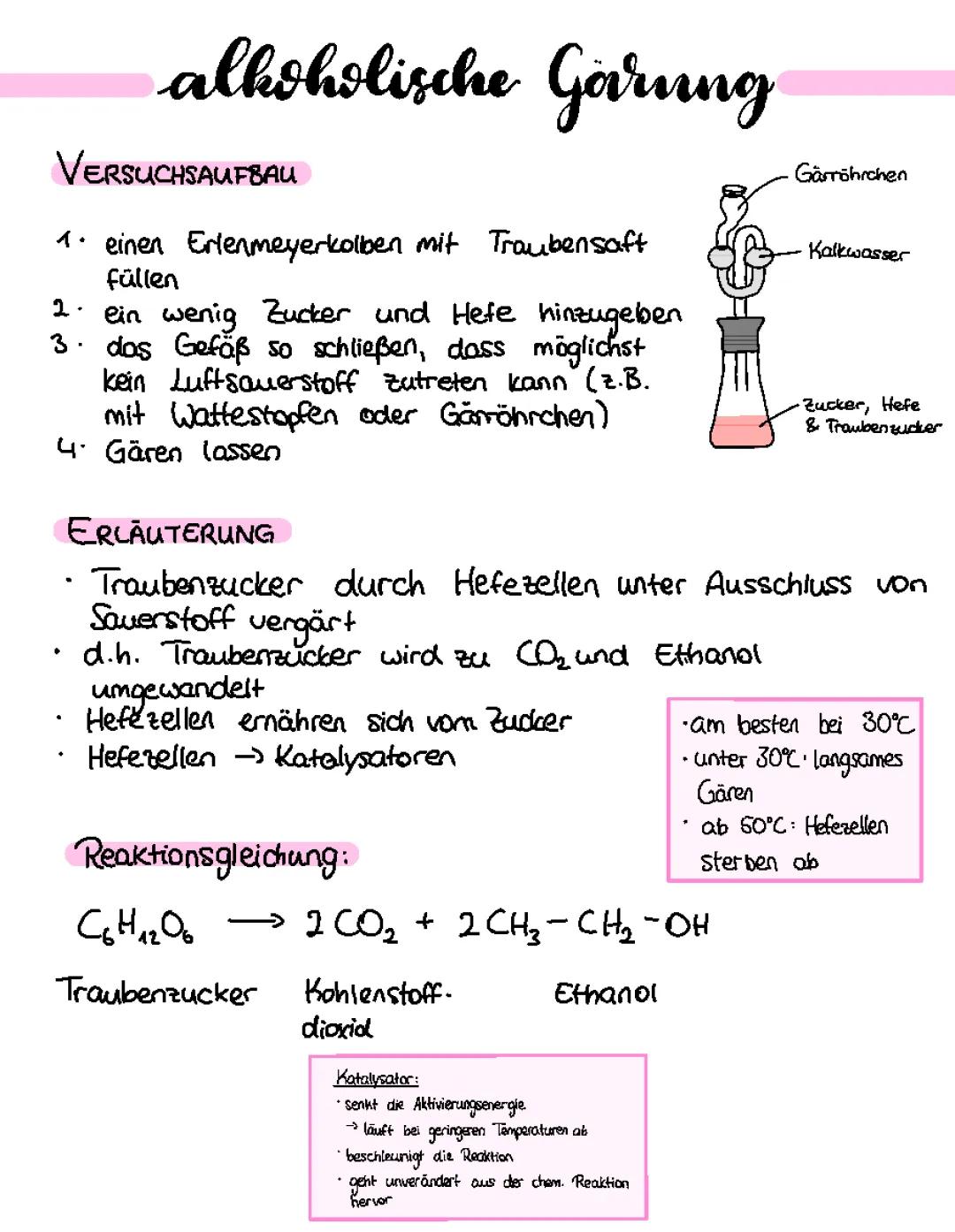 Alkoholische Gärung: Versuchsprotokoll mit Hefe und Zucker