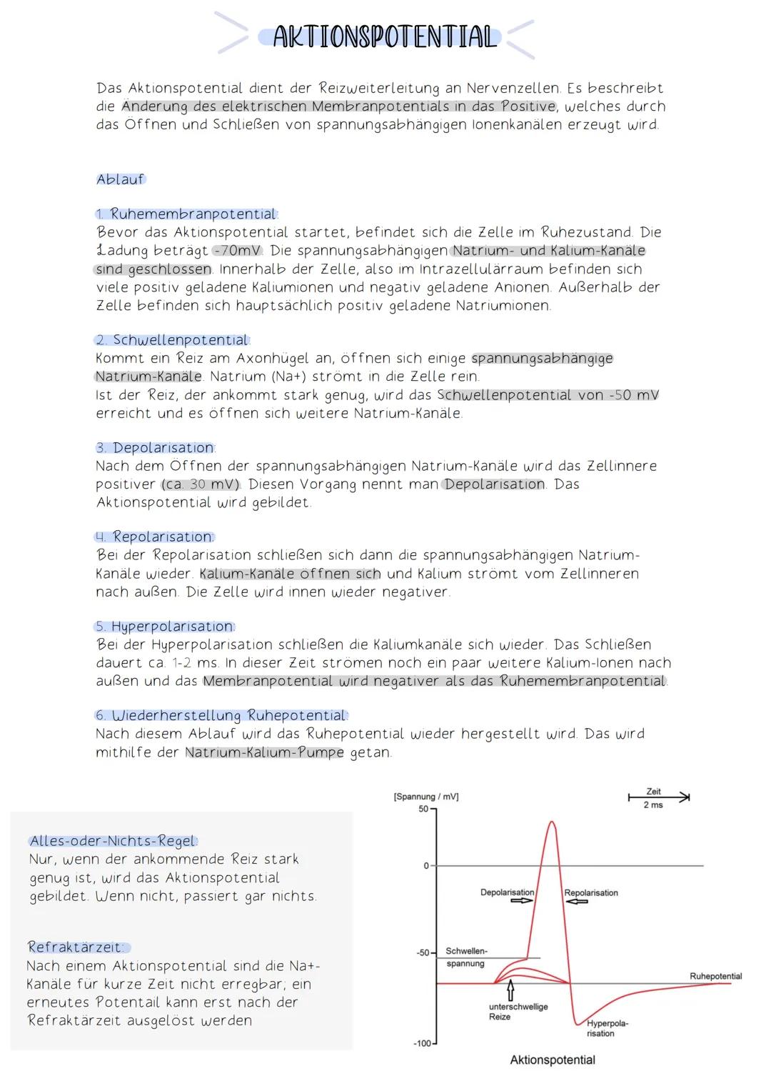 Außen
RUHEPOTENTIAL
Das Ruhepotential beschreibt das Membranpotential einer unerregten bzw. ruhenden
Zelle. Dieses Potential ist negativ und
